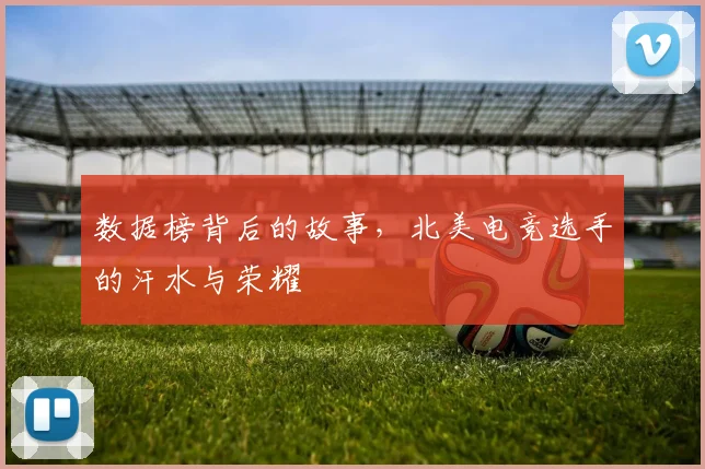 数据榜背后的故事,北美电竞选手的汗水与荣耀