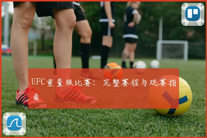 UFC重量级比赛：完整赛程与观赛指南