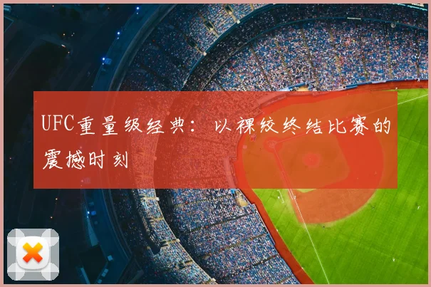 UFC重量级经典:以裸绞终结比赛的震撼时刻