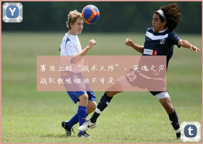 赛场上的“战术大师”,英魂之刃战队教练组功不可没