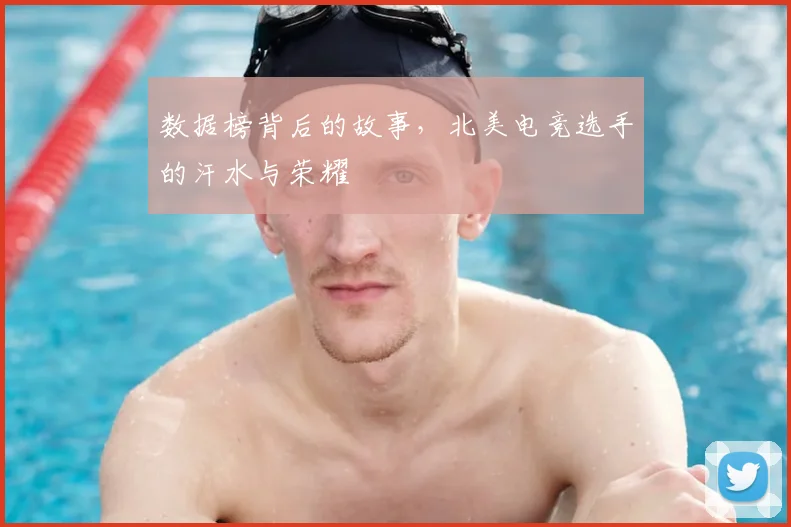 数据榜背后的故事,北美电竞选手的汗水与荣耀