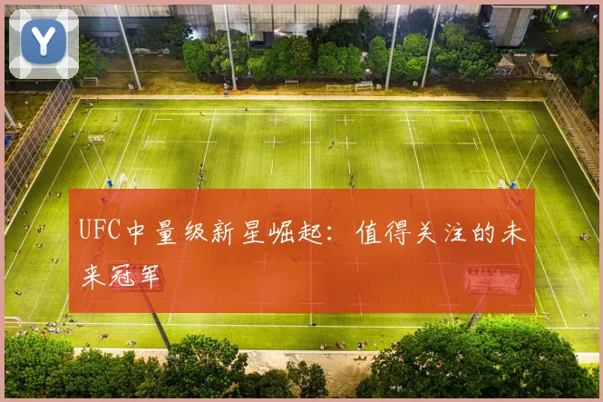 UFC中量级新星崛起：值得关注的未来冠军