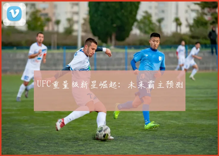 UFC重量级新星崛起:未来霸主预测