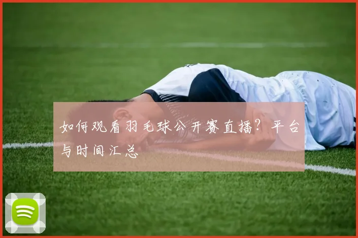 如何观看羽毛球公开赛直播？平台与时间汇总