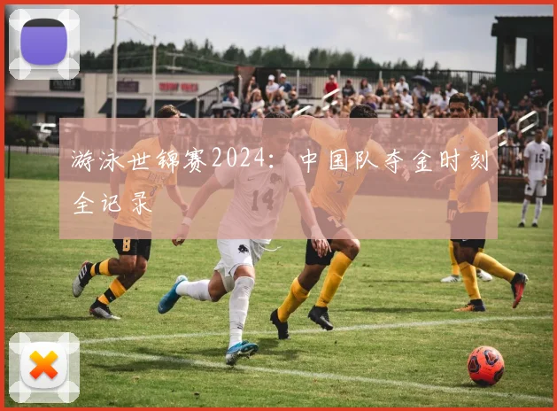 游泳世锦赛2024：中国队夺金时刻全记录