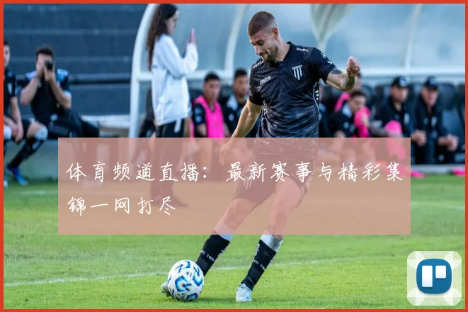 体育频道直播：最新赛事与精彩集锦一网打尽