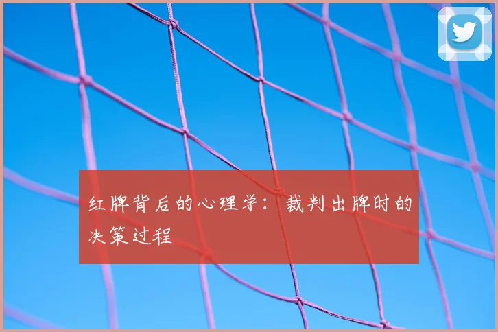 红牌背后的心理学：裁判出牌时的决策过程