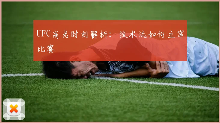 UFC高光时刻解析：技术流如何主宰比赛