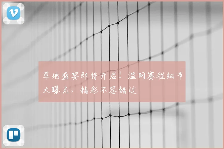 草地盛宴即将开启!温网赛程细节大曝光,精彩不容错过