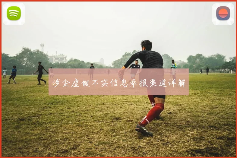 涉企虚假不实信息举报渠道详解