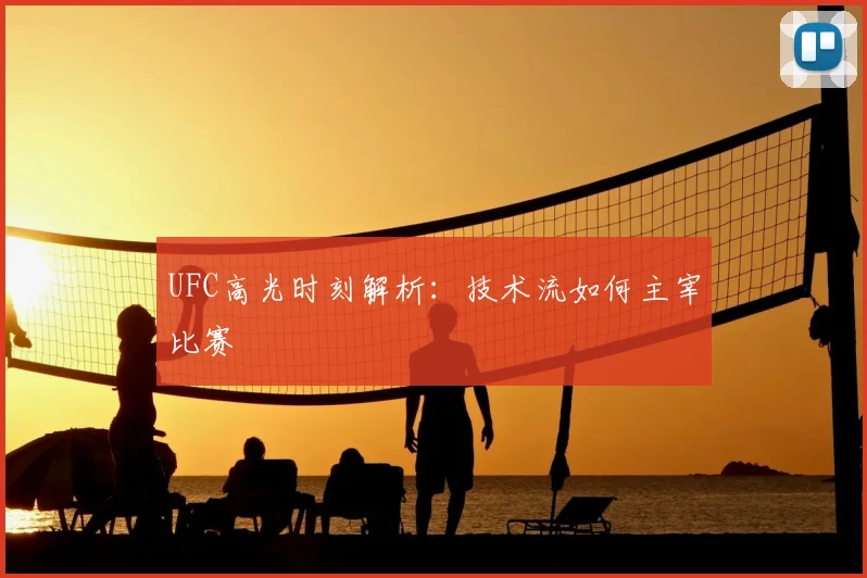 UFC高光时刻解析：技术流如何主宰比赛